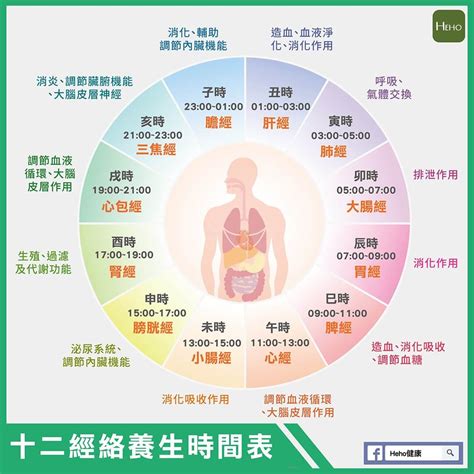 身體五行時間